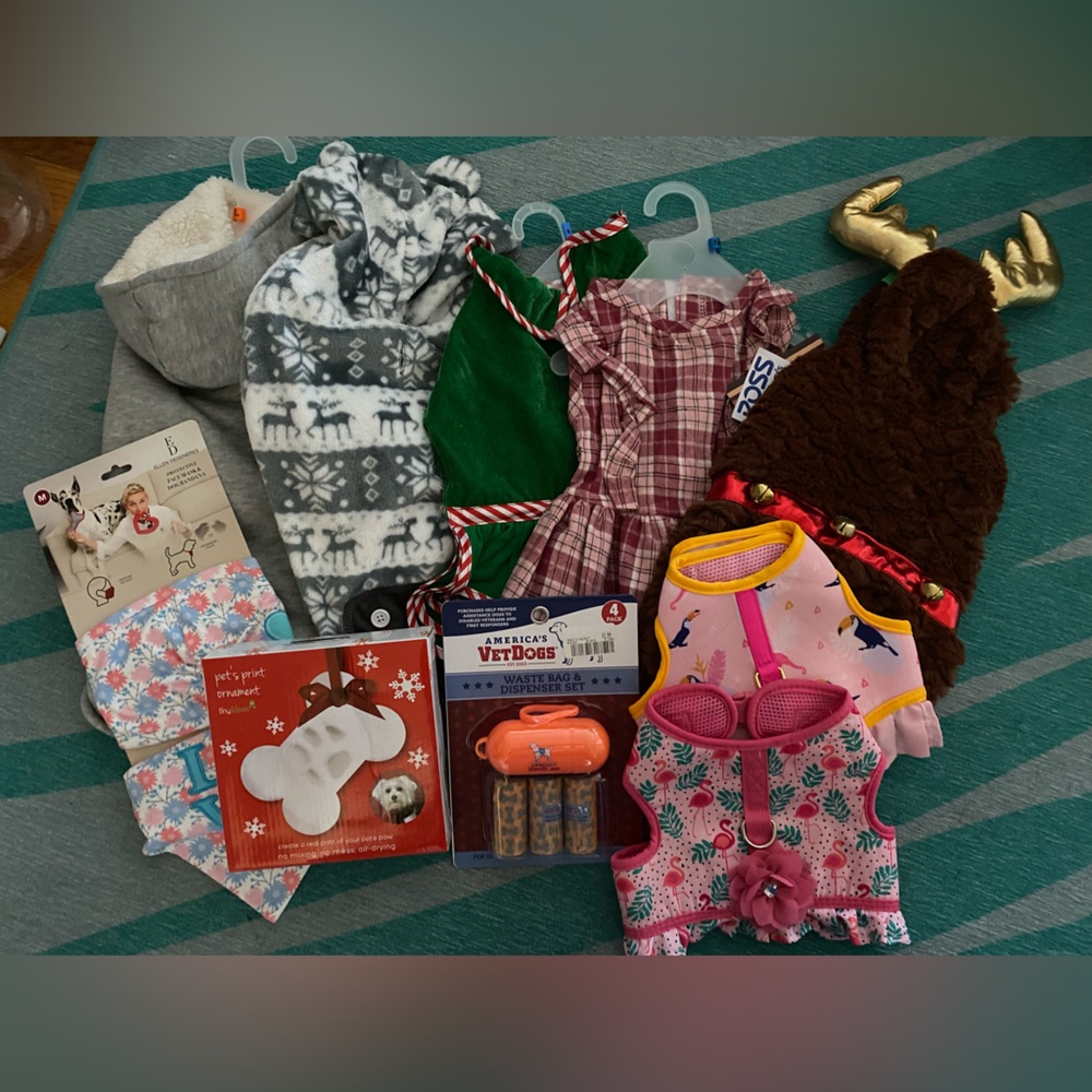 Dog clothing and accessory bundle